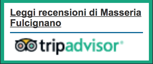 recensioni tripadvisor